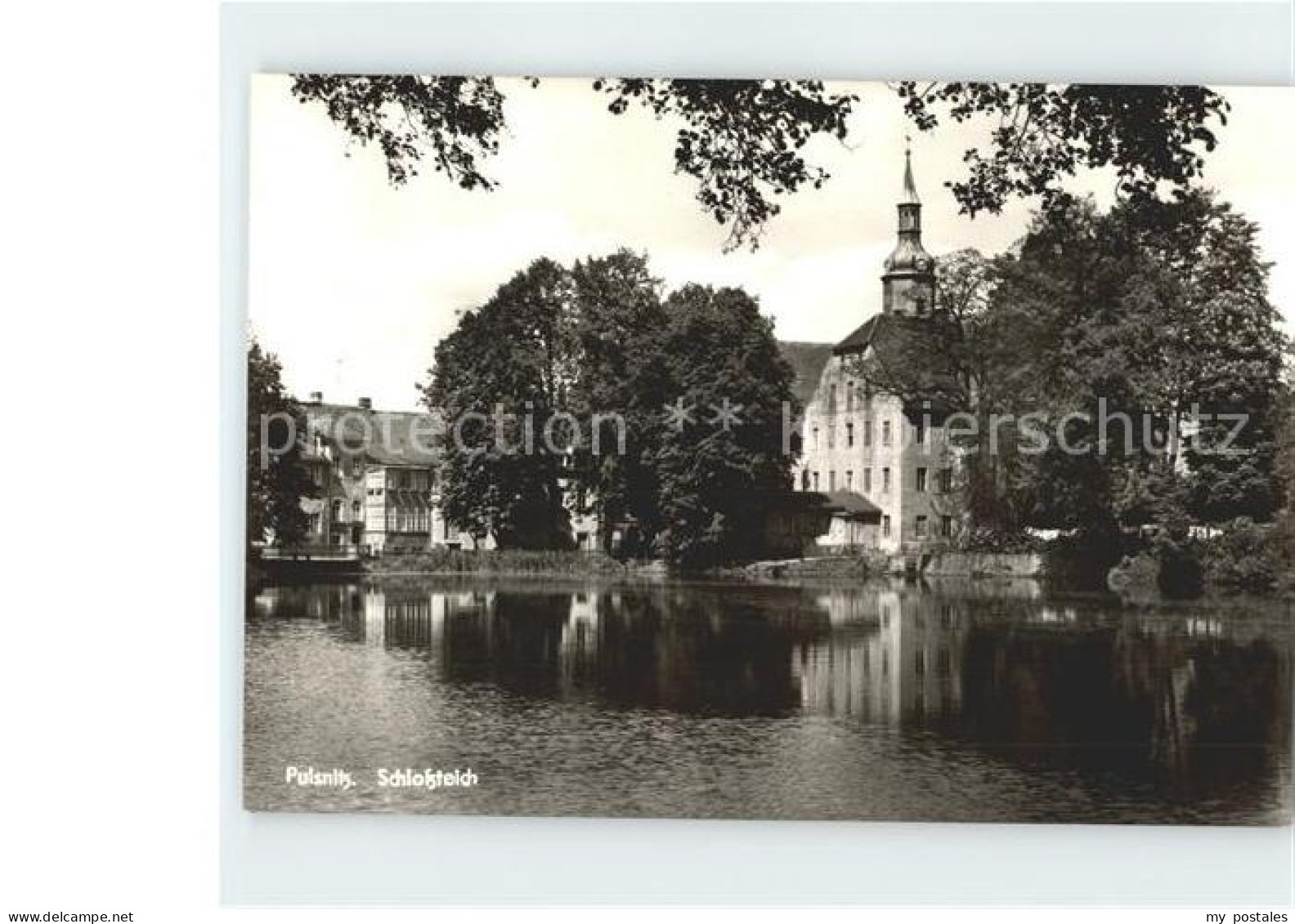 Pulsnitz Sachsen Schlossteich