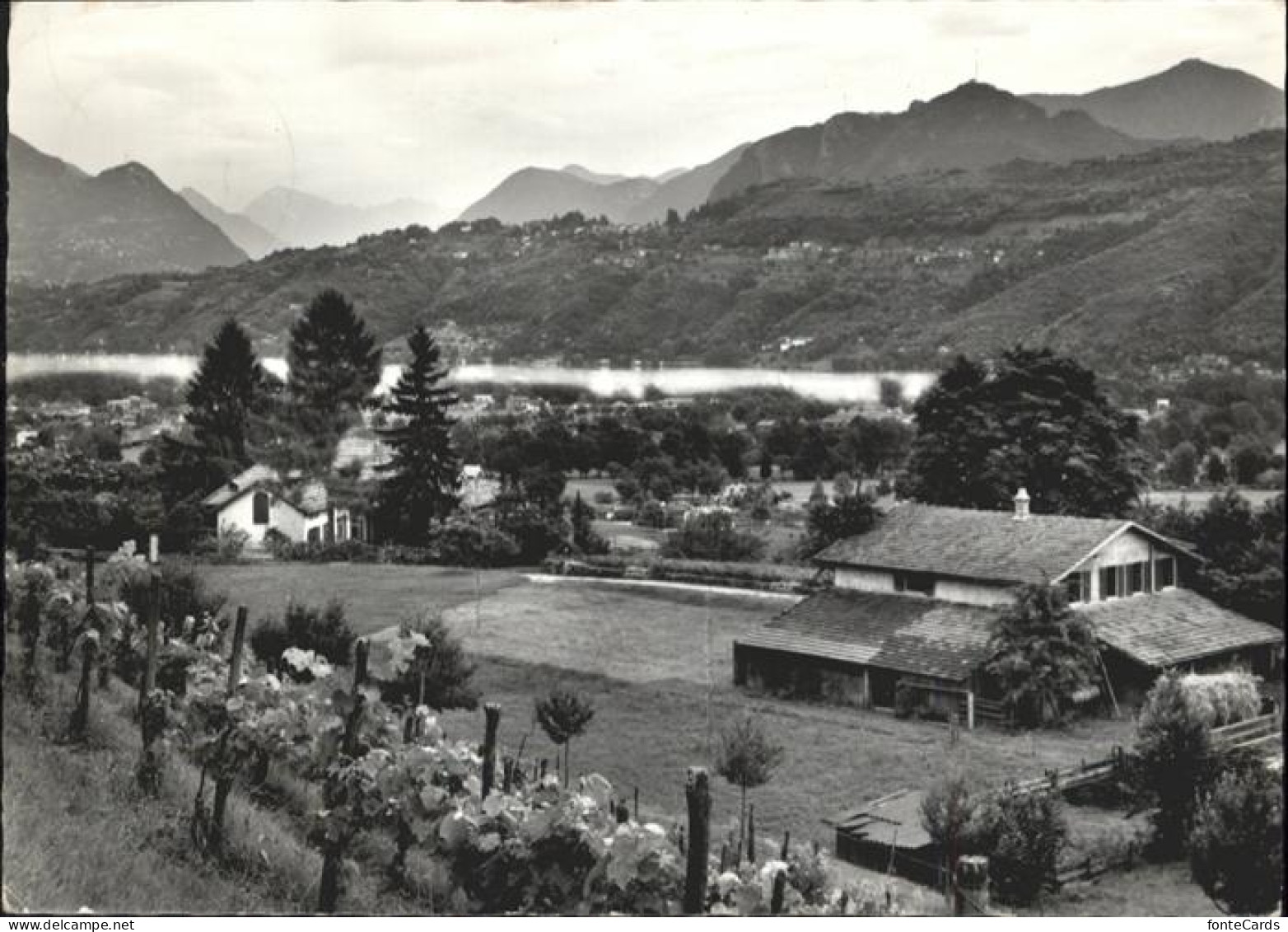 Pura Gott Hilf Haeuser