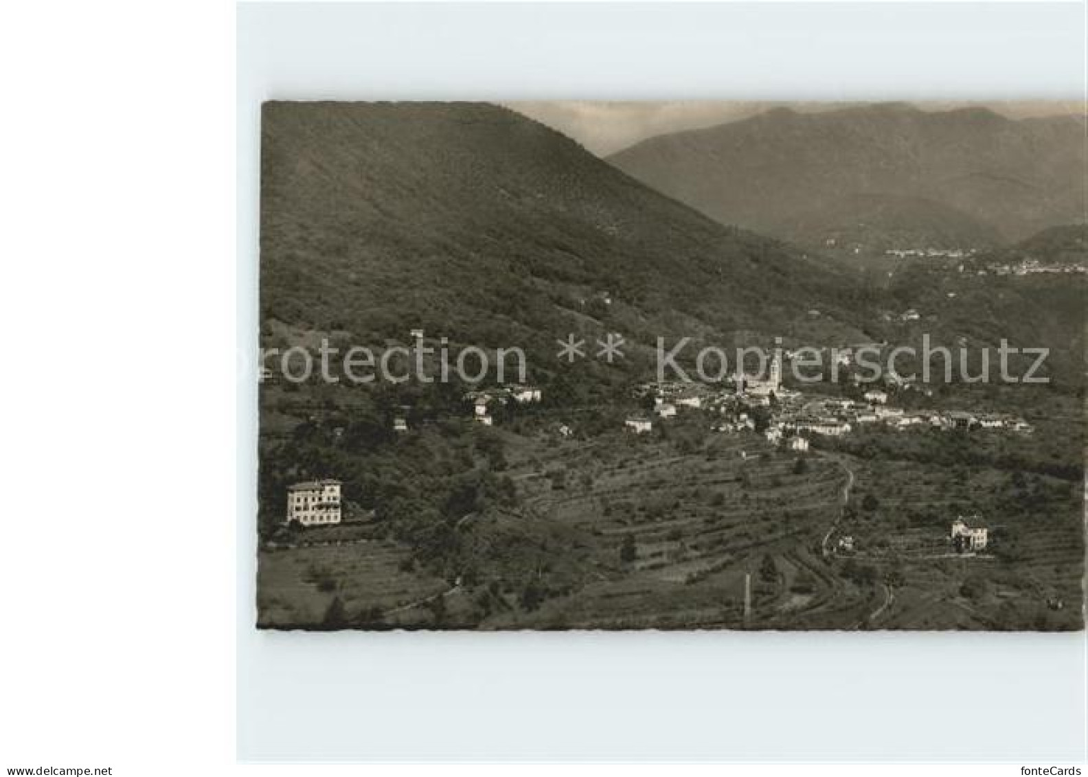 Pura Panorama
