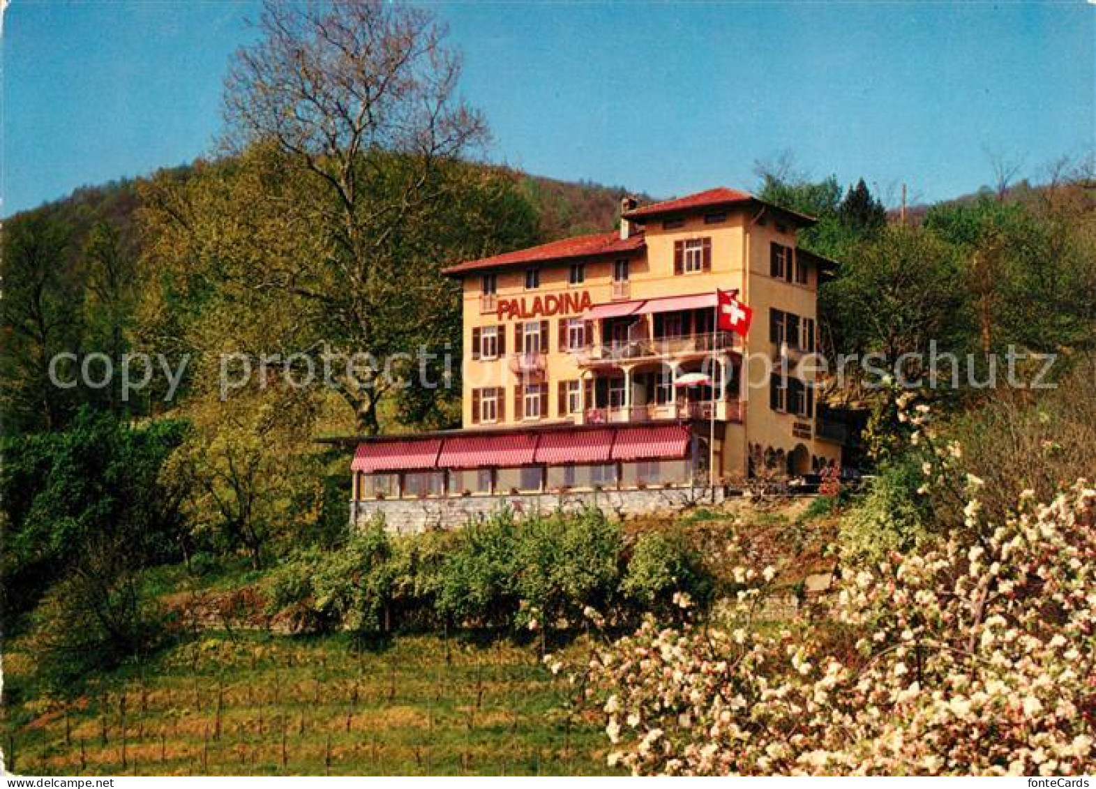 Pura Pension Paladina