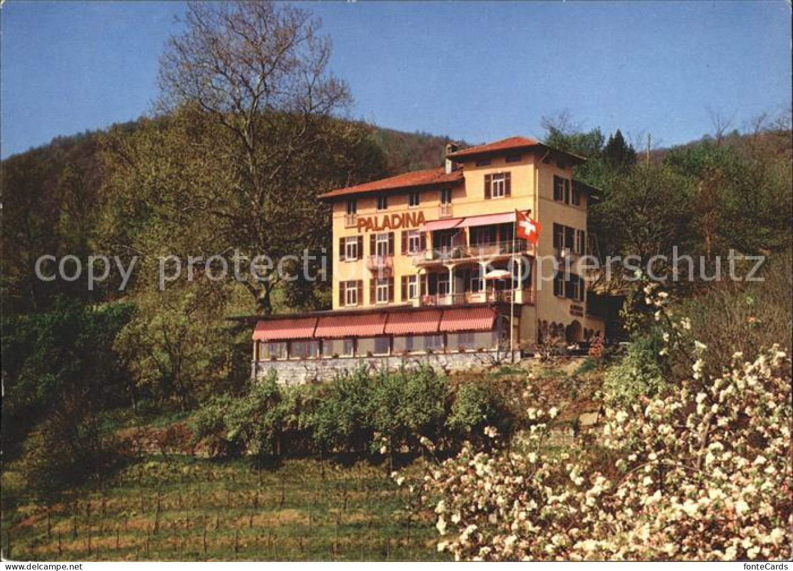 Pura Pension Paladina