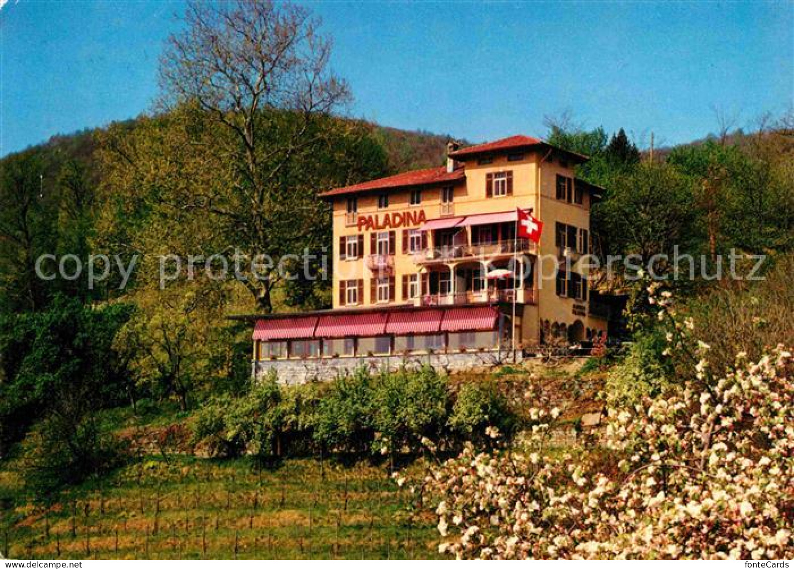 Pura Pension ''Paladina