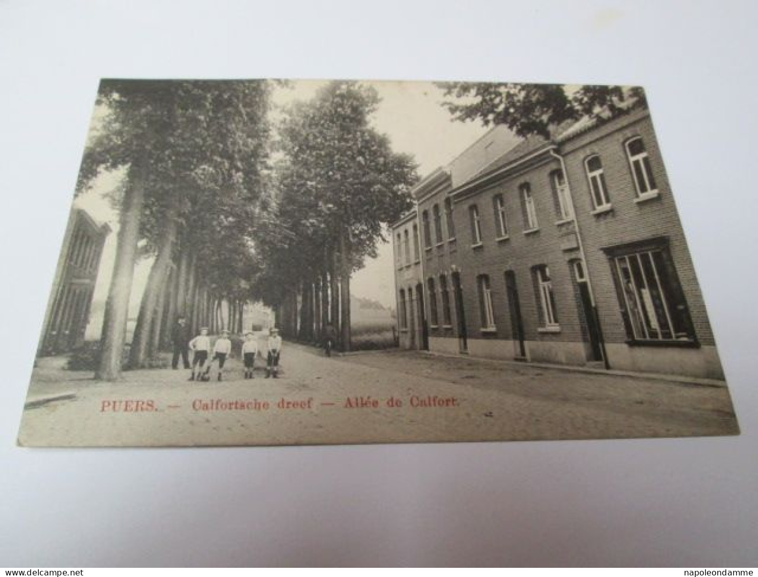 Puurs, Calfortische dreef