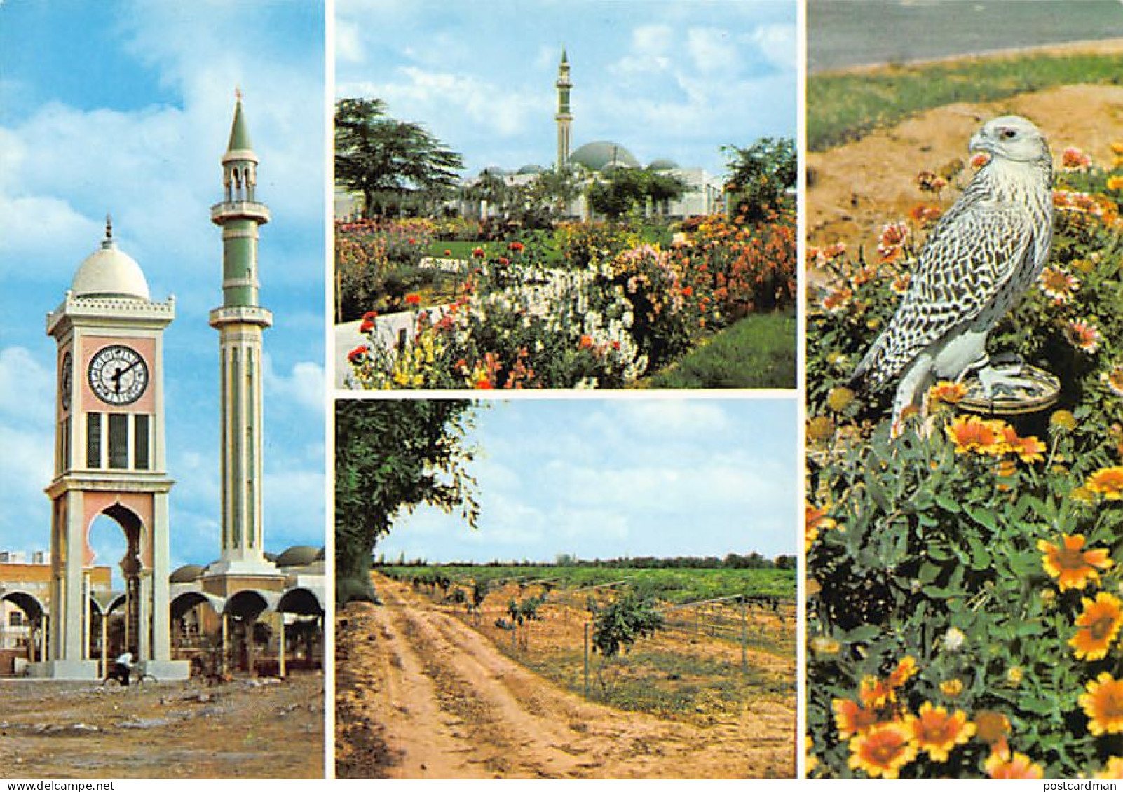 Qatar - DOHA - Grand Mosque - Agricultural land - Qatari Falcon - Clock Tower Square - Size 15 cm. By 10 cm. - Publ. Bad