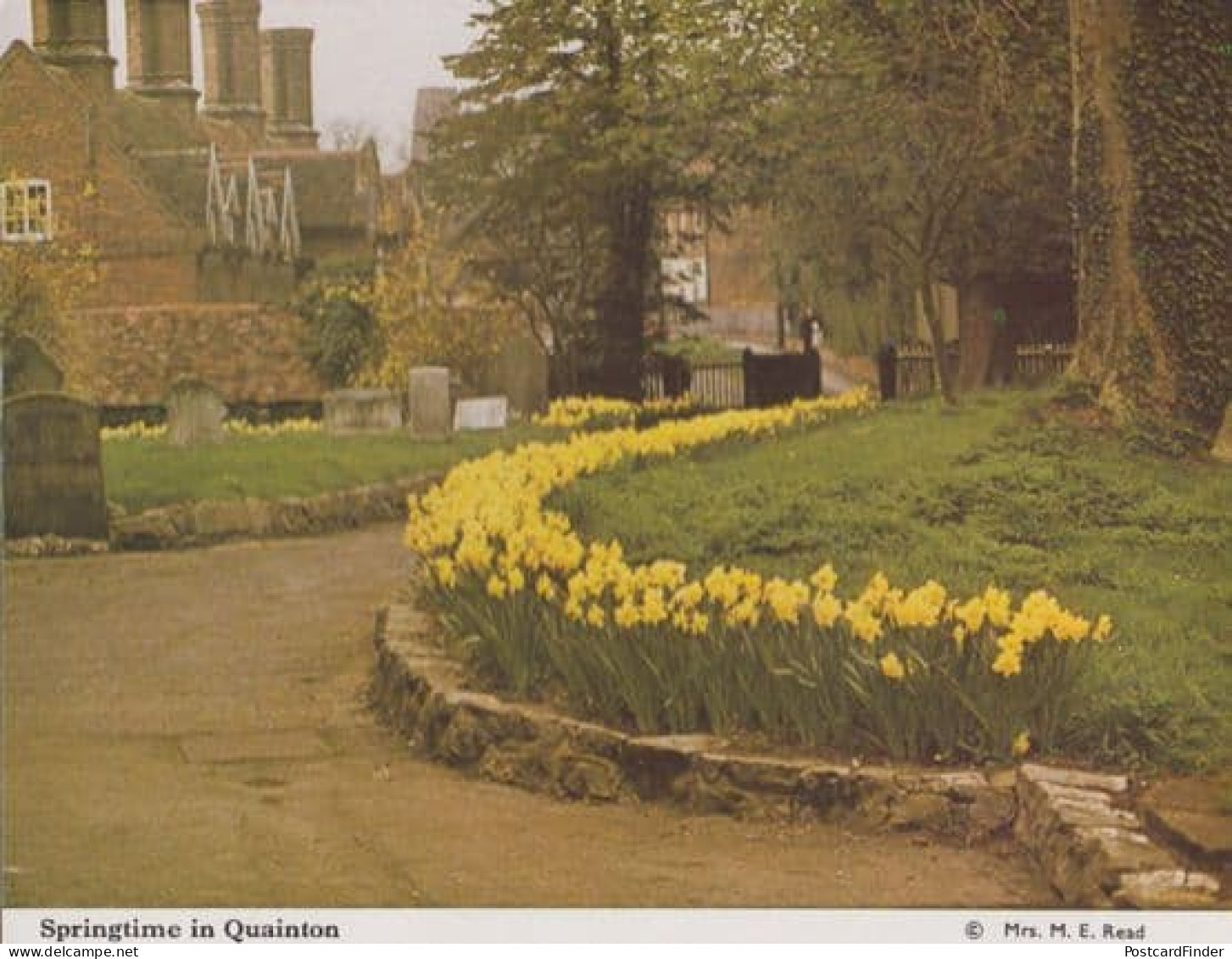 Quainton Buckinghamshire Spring Daffodils Womens Institute Postcard
