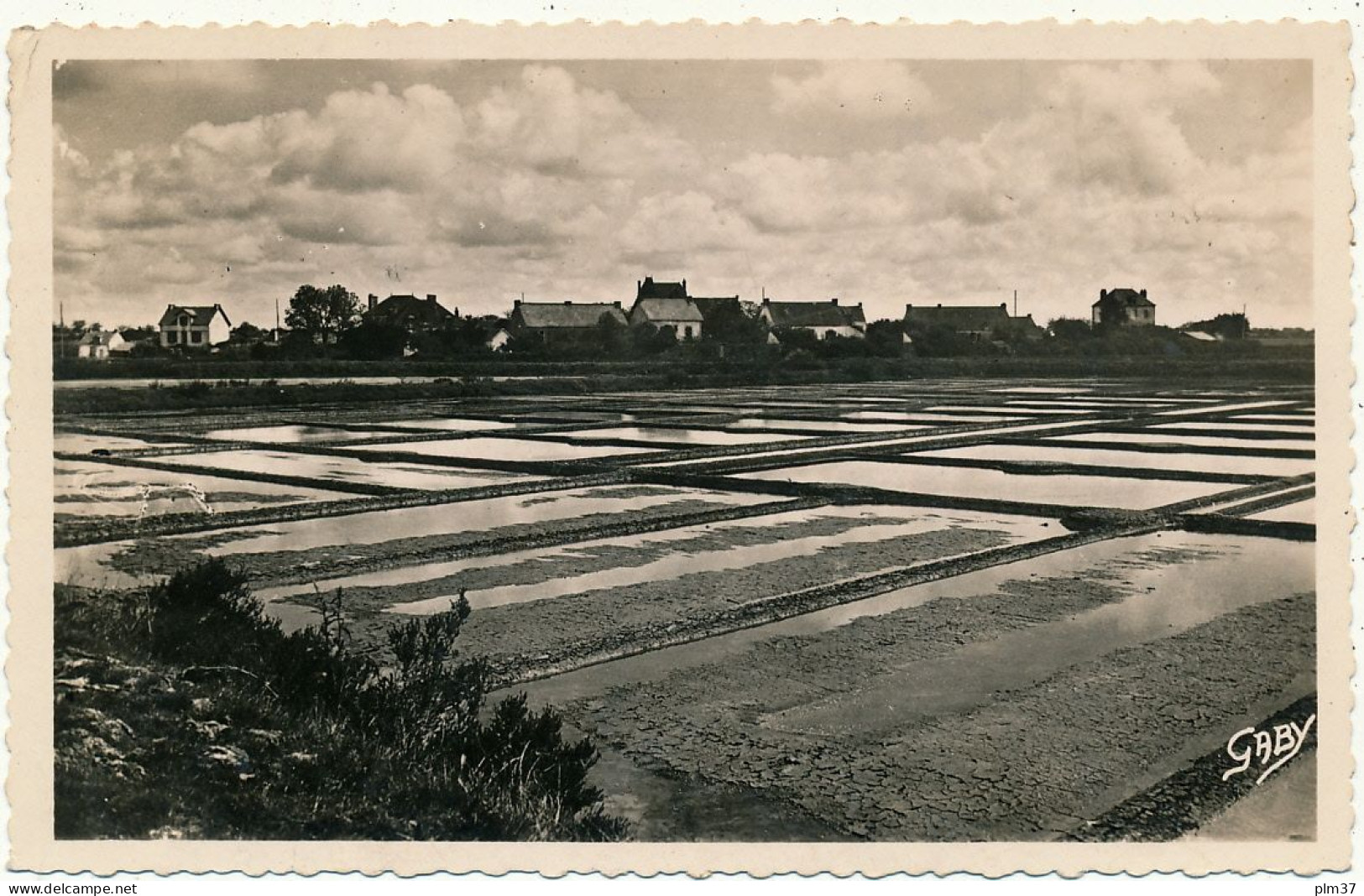 QUIMIAC EN MESQUER - Marais Salants de Kerdabelec