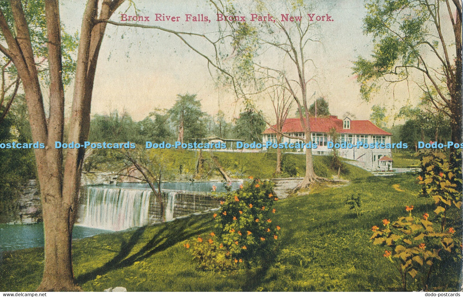 R005005 Bronx River Falls Bronx Park New York