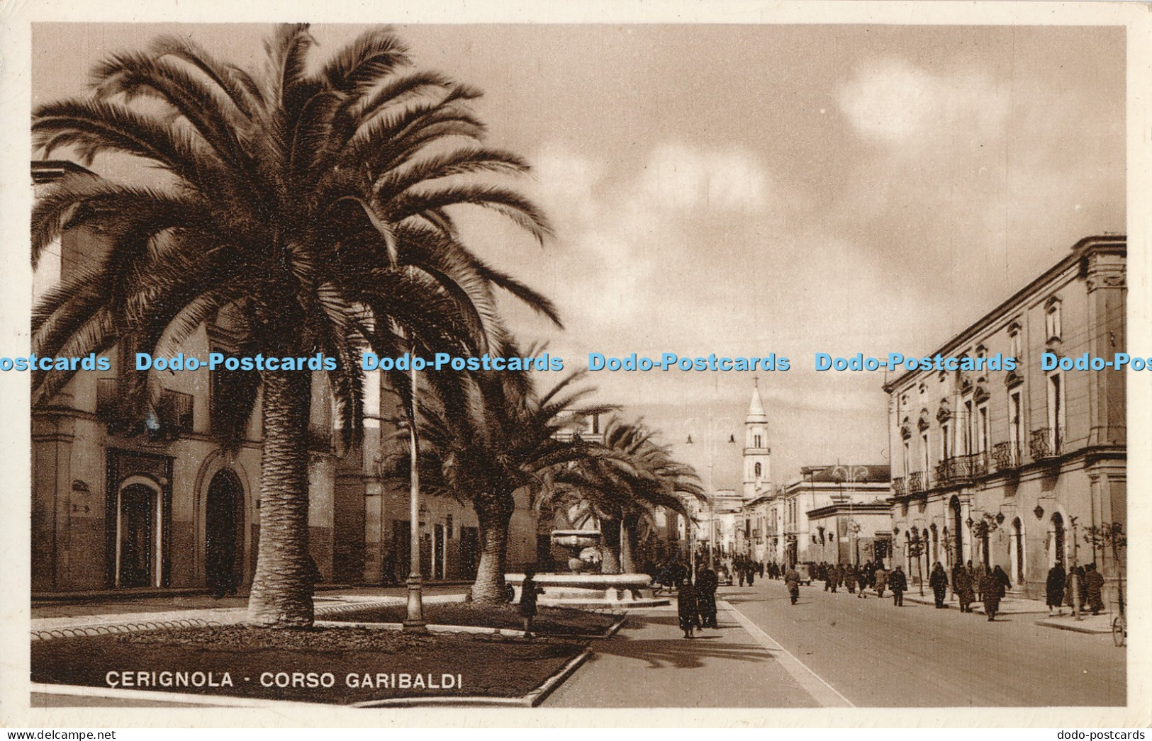 R013136 Cerignola Corso Garibaldi G Lapiccirella Cesare Capello