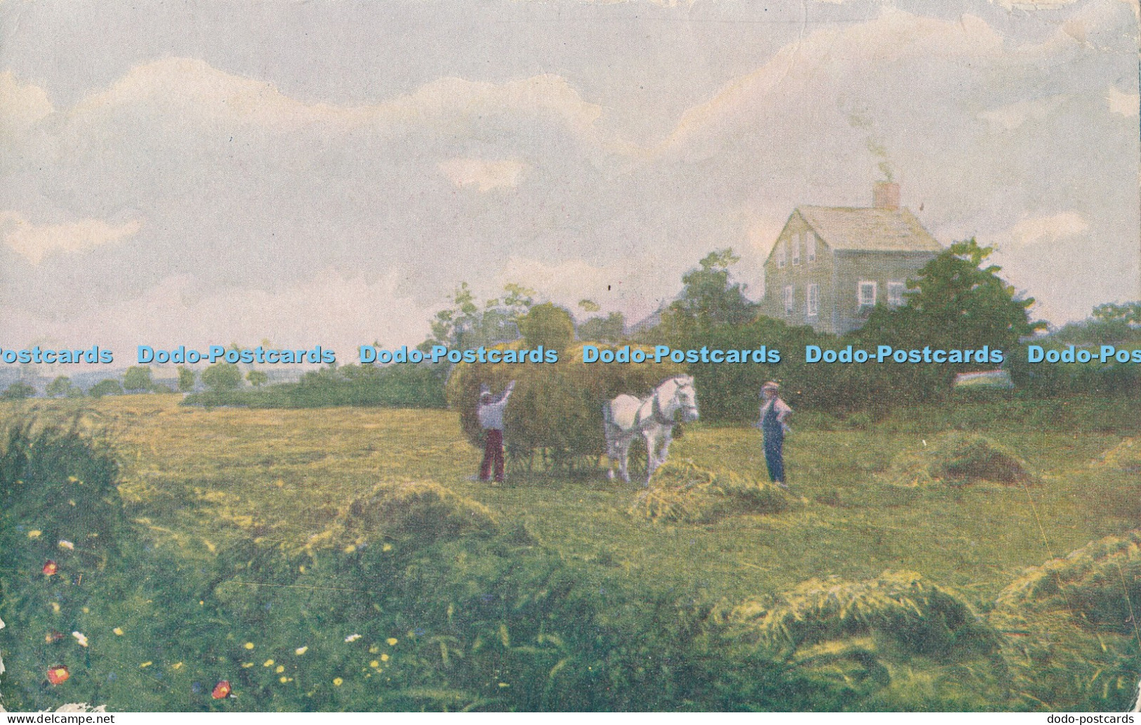 R014017 Lily Pond Meadows Nantucket H L Wyer