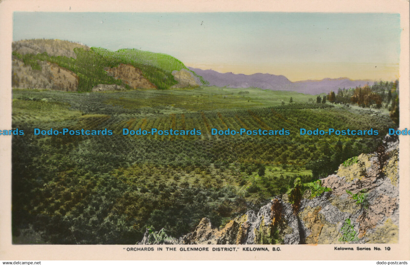 R014074 Orchards in the Glenmore District. Kelowna. B. C. RP. B. Hopkins