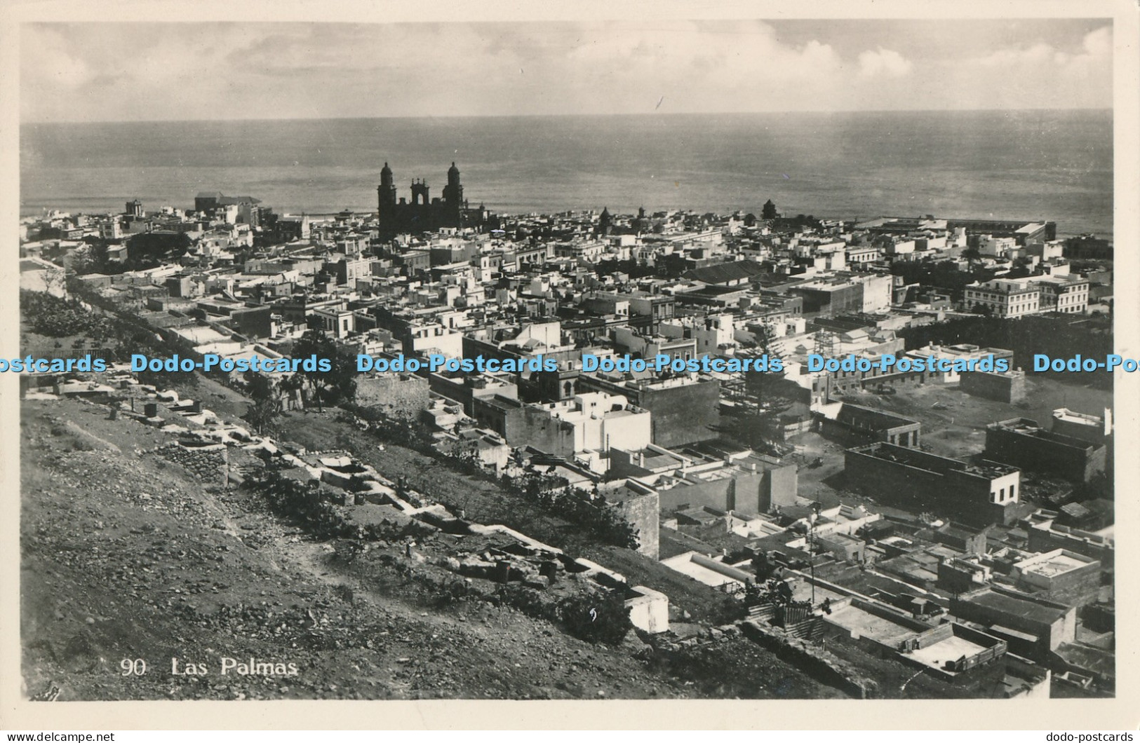 R014914 as Palmas B Hopkins