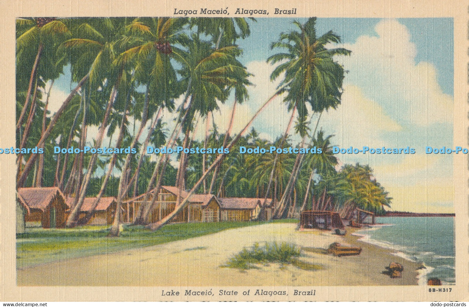 R016507 Lake Maceio State of Alagoas Brazil Riex