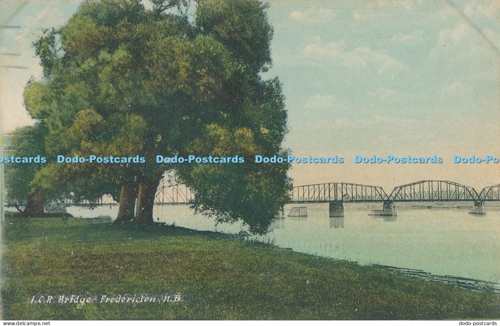 R017271 Bridge Fredericton N B C W Hall