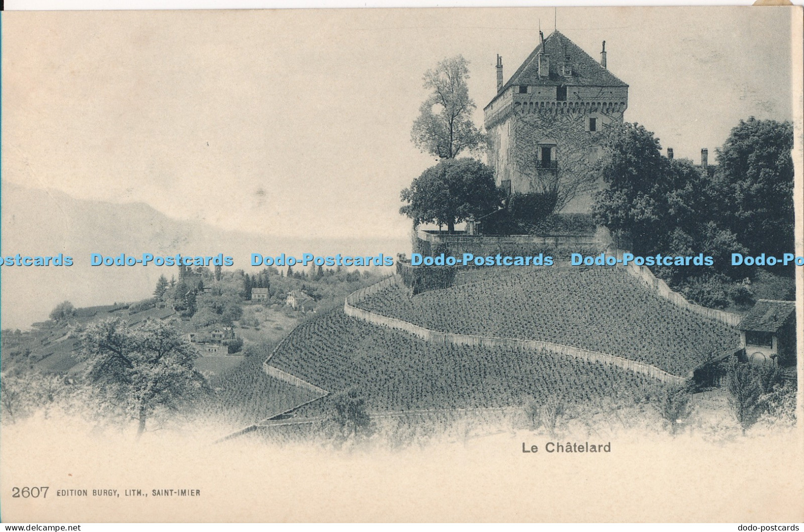 R017281 Le Chatelard Burgy No 2607