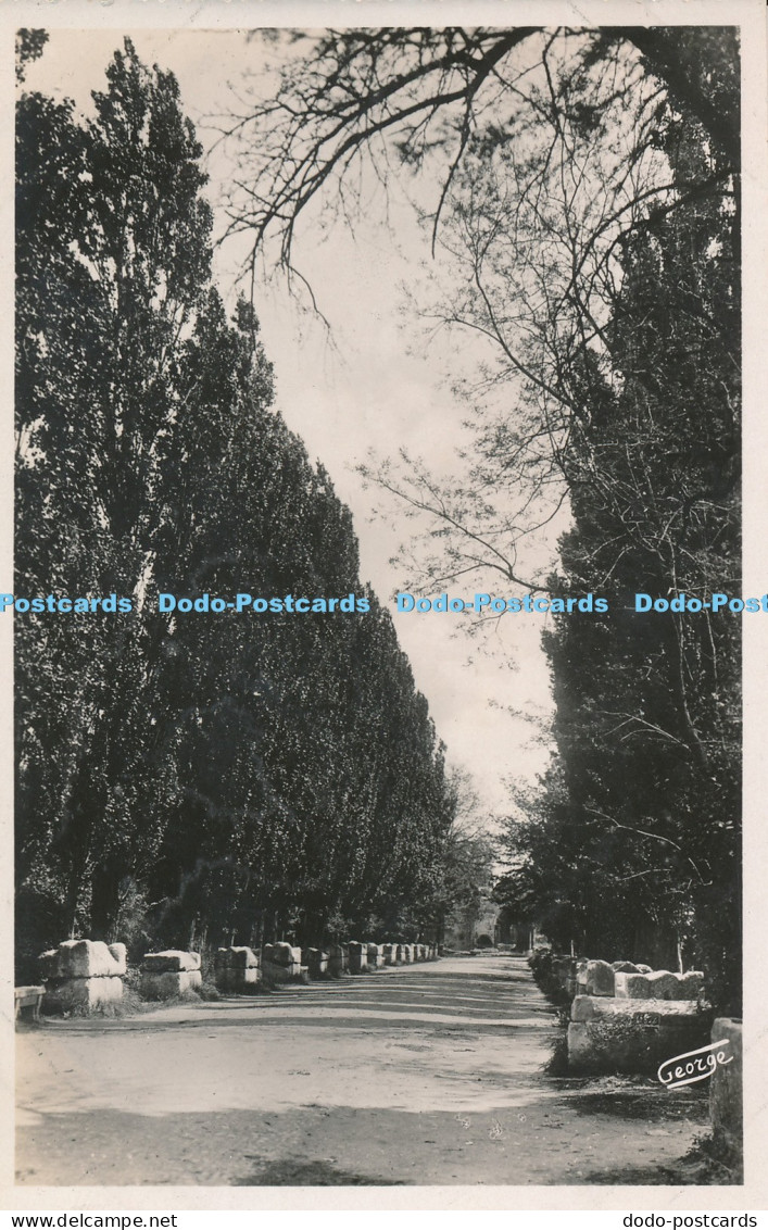 R018807 Arles en Provence Les Alyscamps Allee des Tombeaux Georges Arles