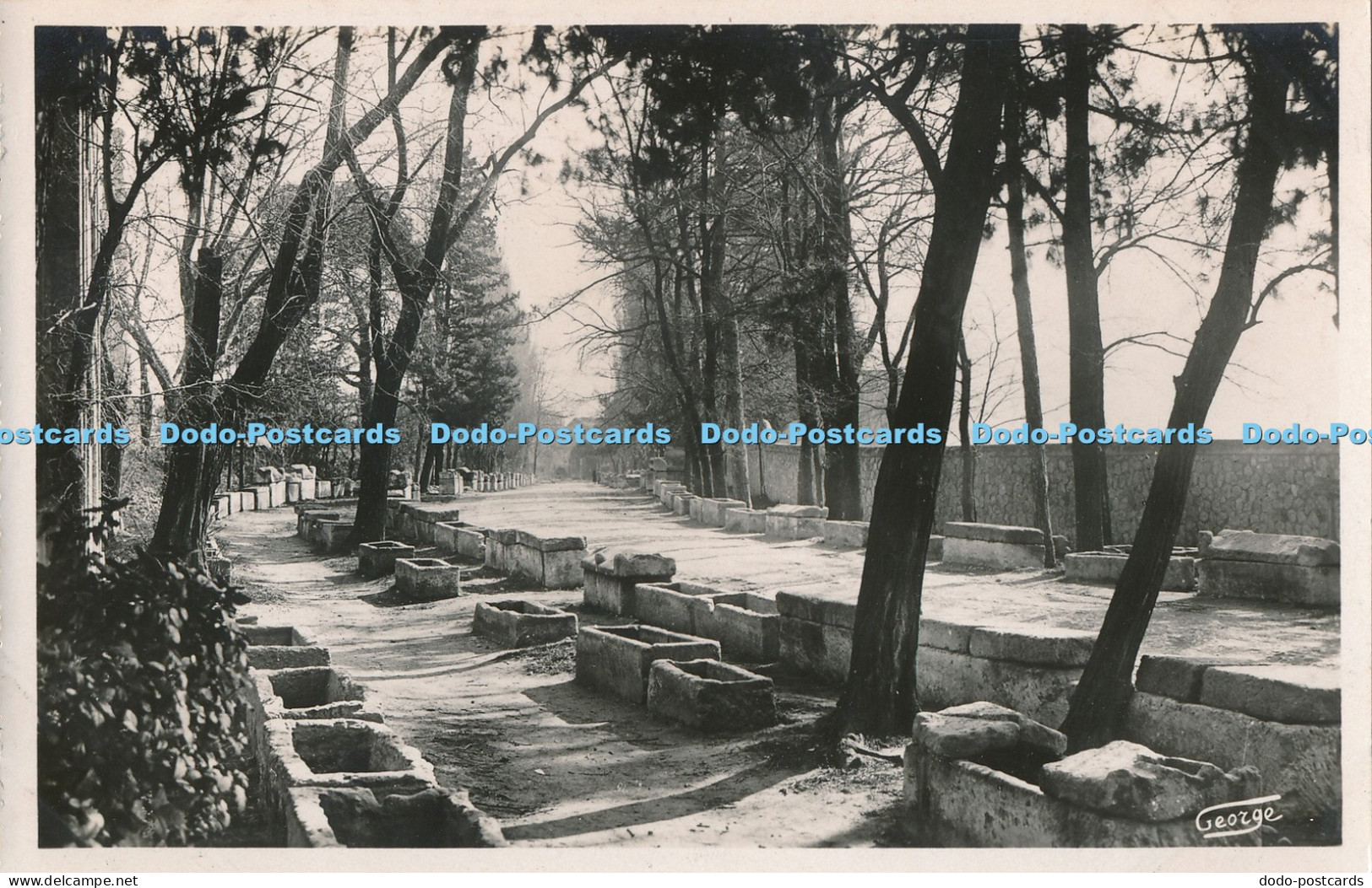 R018808 Arles en Provence Les Alyscamps Champs Elysees Romains George Arles