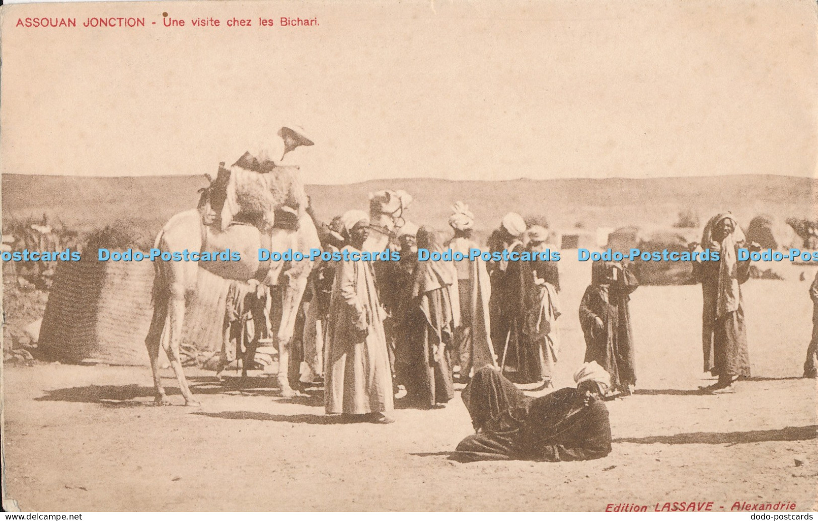 R019105 Assouan Jonction Une Visite Chez les Bichari