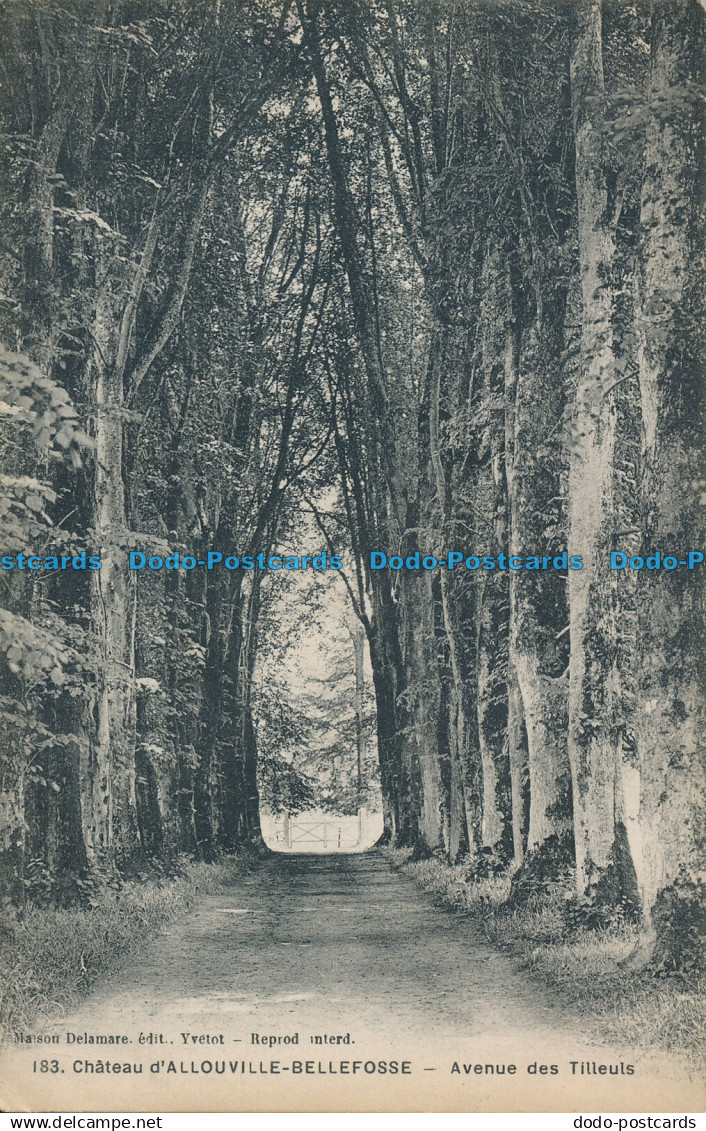 R019694 Chateau d Allouville Bellefosse. Avenue des Tilleuls. Delamare. 1914