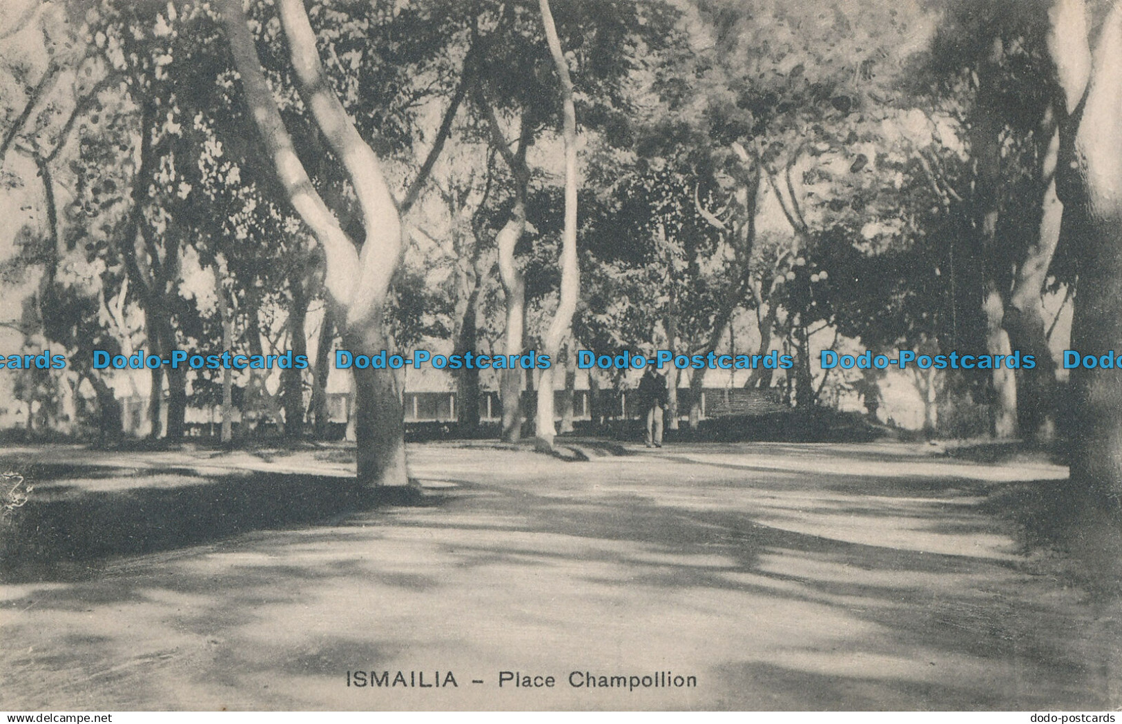 R020623 Ismailia. Place Champollion