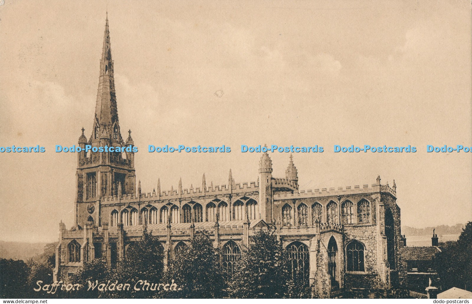 R021535 Saffron Walden Church W Thompson 1915