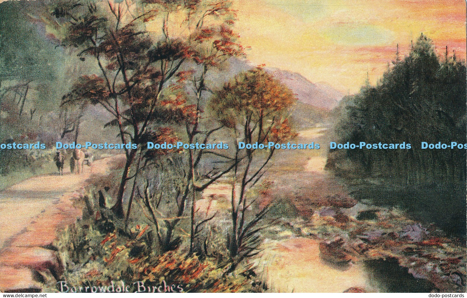 R021967 Borrowdale Birches Hildesheimer