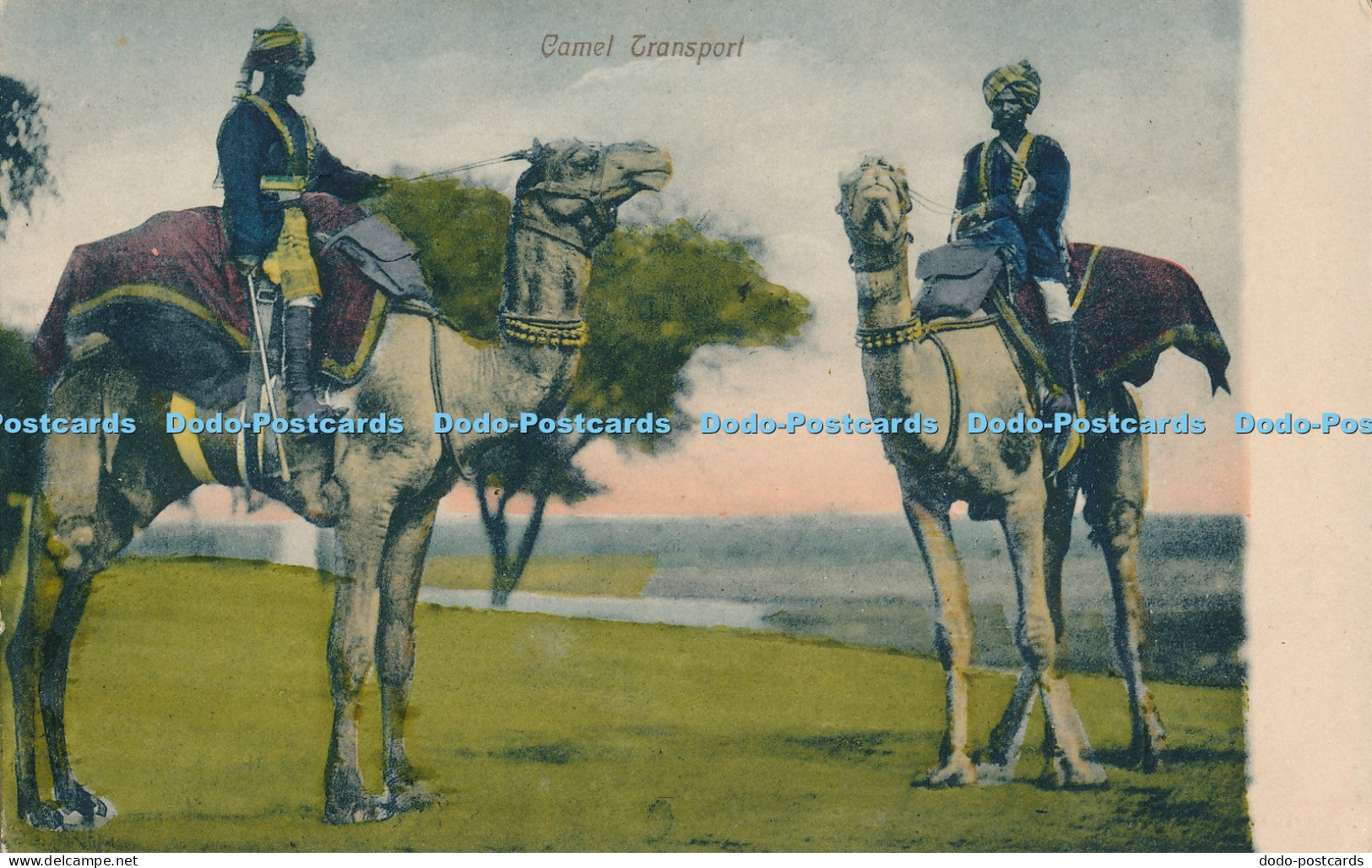 R023758 Camel Transport