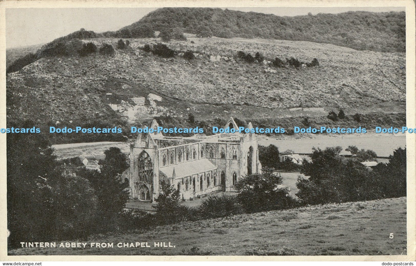 R024274 Tintern Abbey from Chapel Hill 1950
