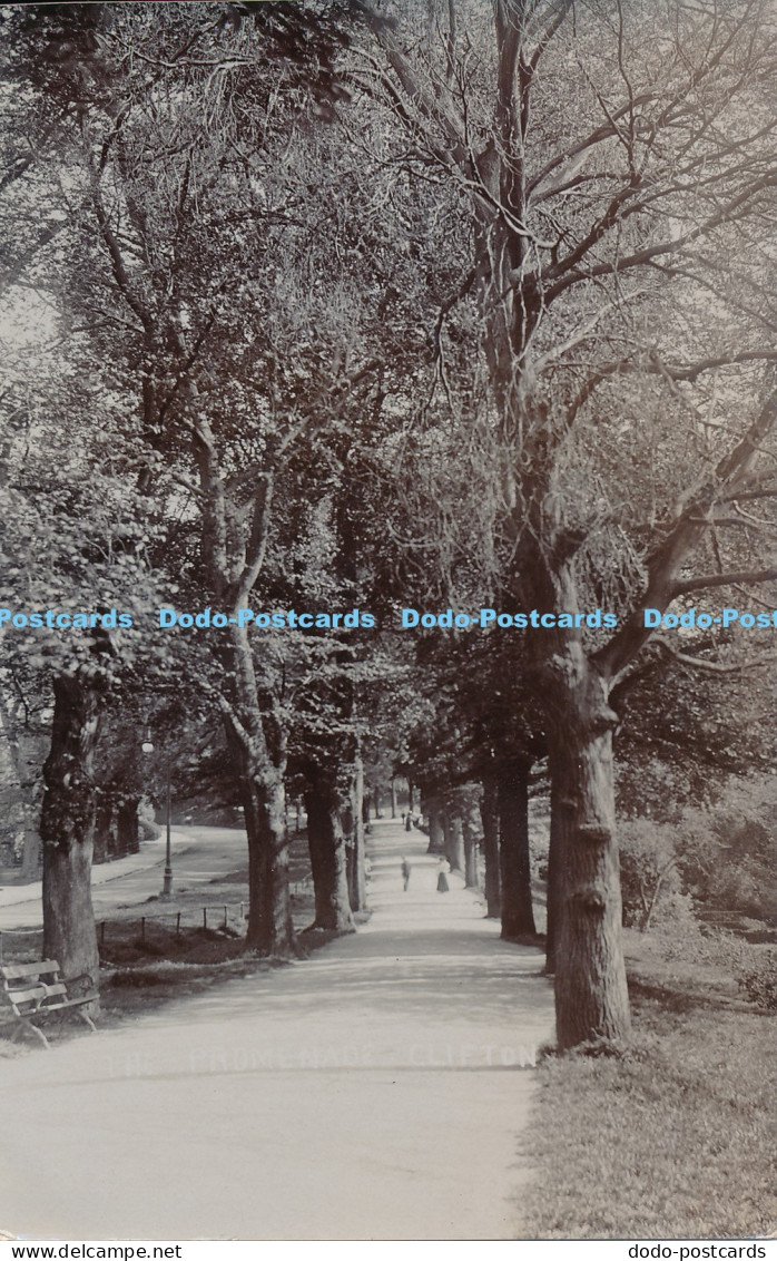 R025759 Promenade Clifton