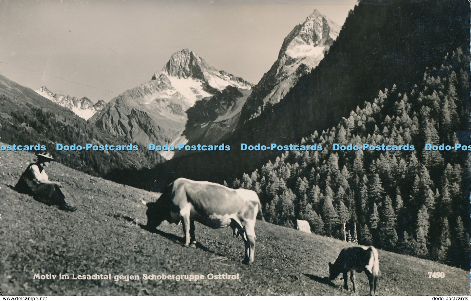 R027873 Motiv im Lesachtal gegen Schobergruppe Osttirol Chizzali RP