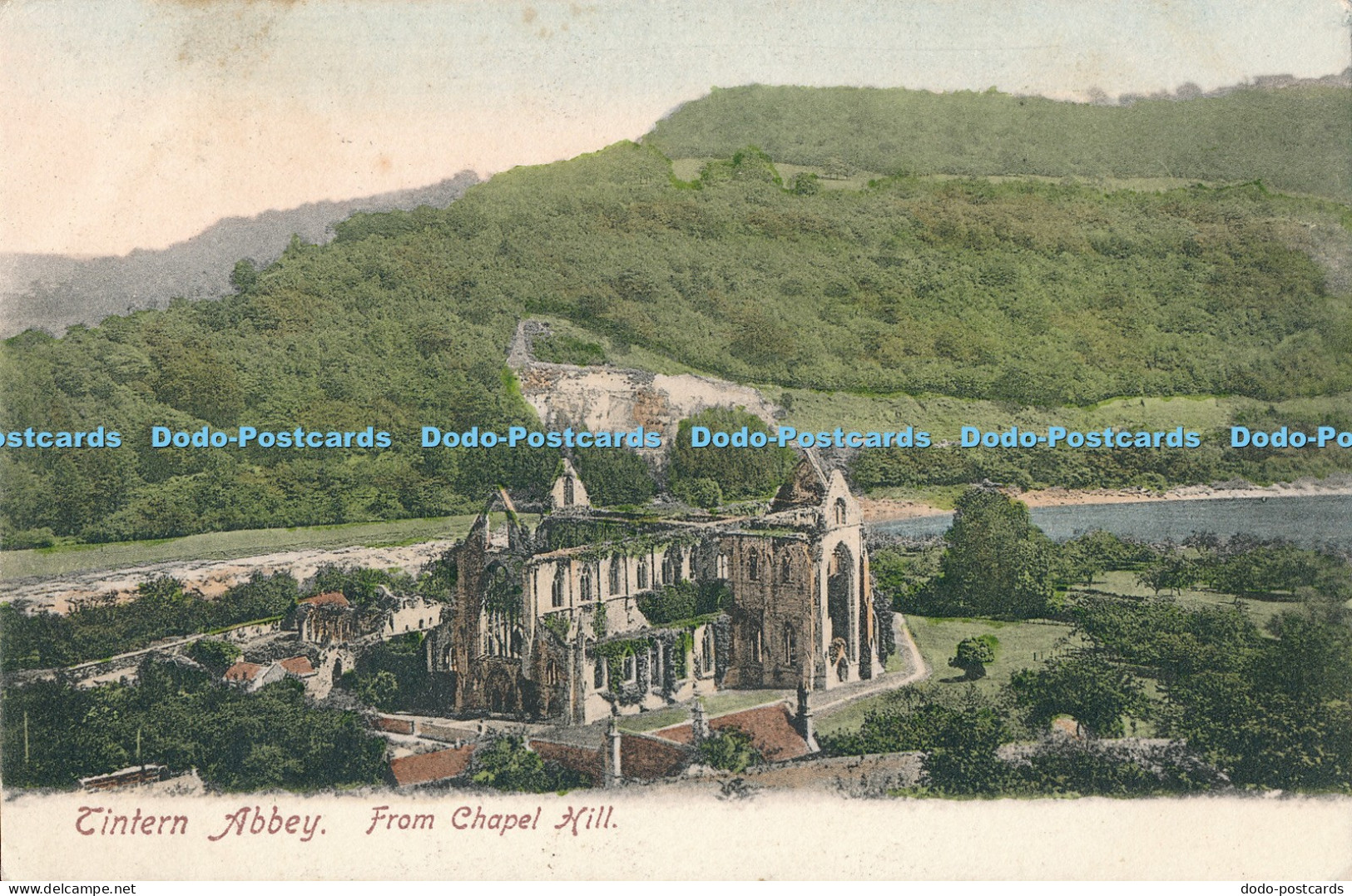 R028101 Tintern Abbey From Chapel Hill Frith 1904
