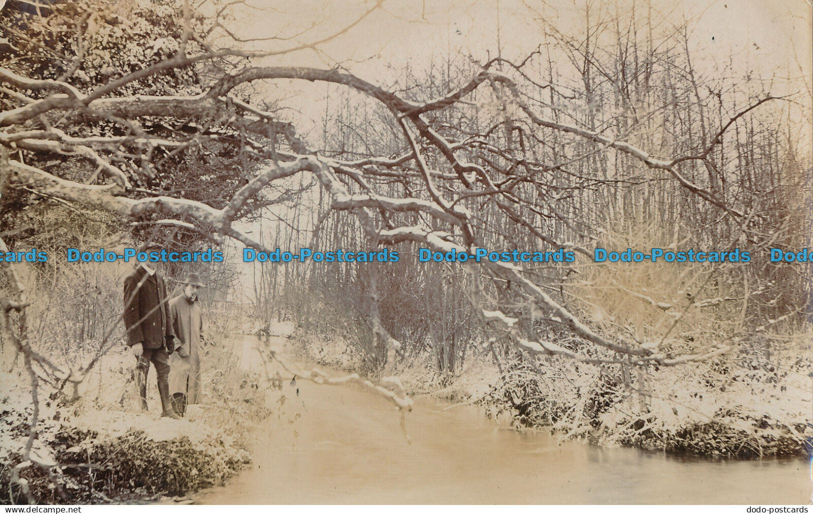 R029232 Old Postcard. Mens in the Woods in Winter