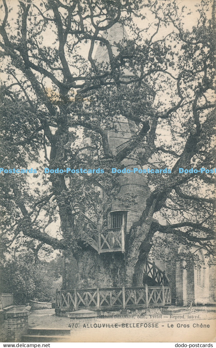 R030543 Allouville Bellefosse Le Gros Chene 1914