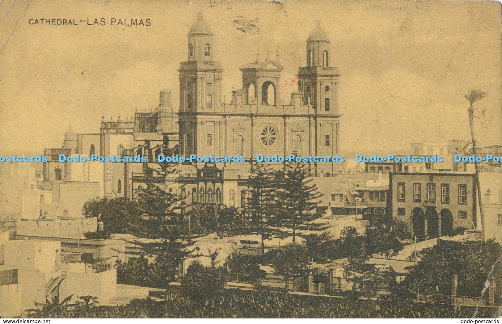 R031525 Cathedral Las Palmas