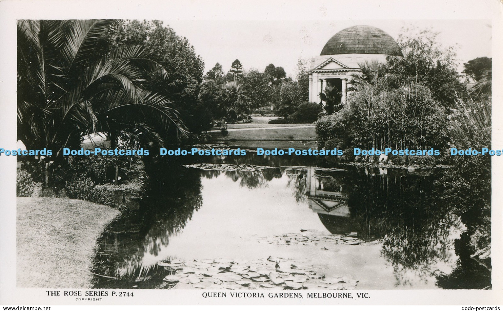 R031817 Queen Victoria Gardens Melbourne Vic The Rose RP