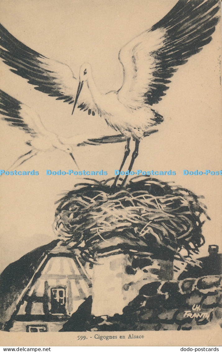 R033925 Cigognes en Alsace 1924