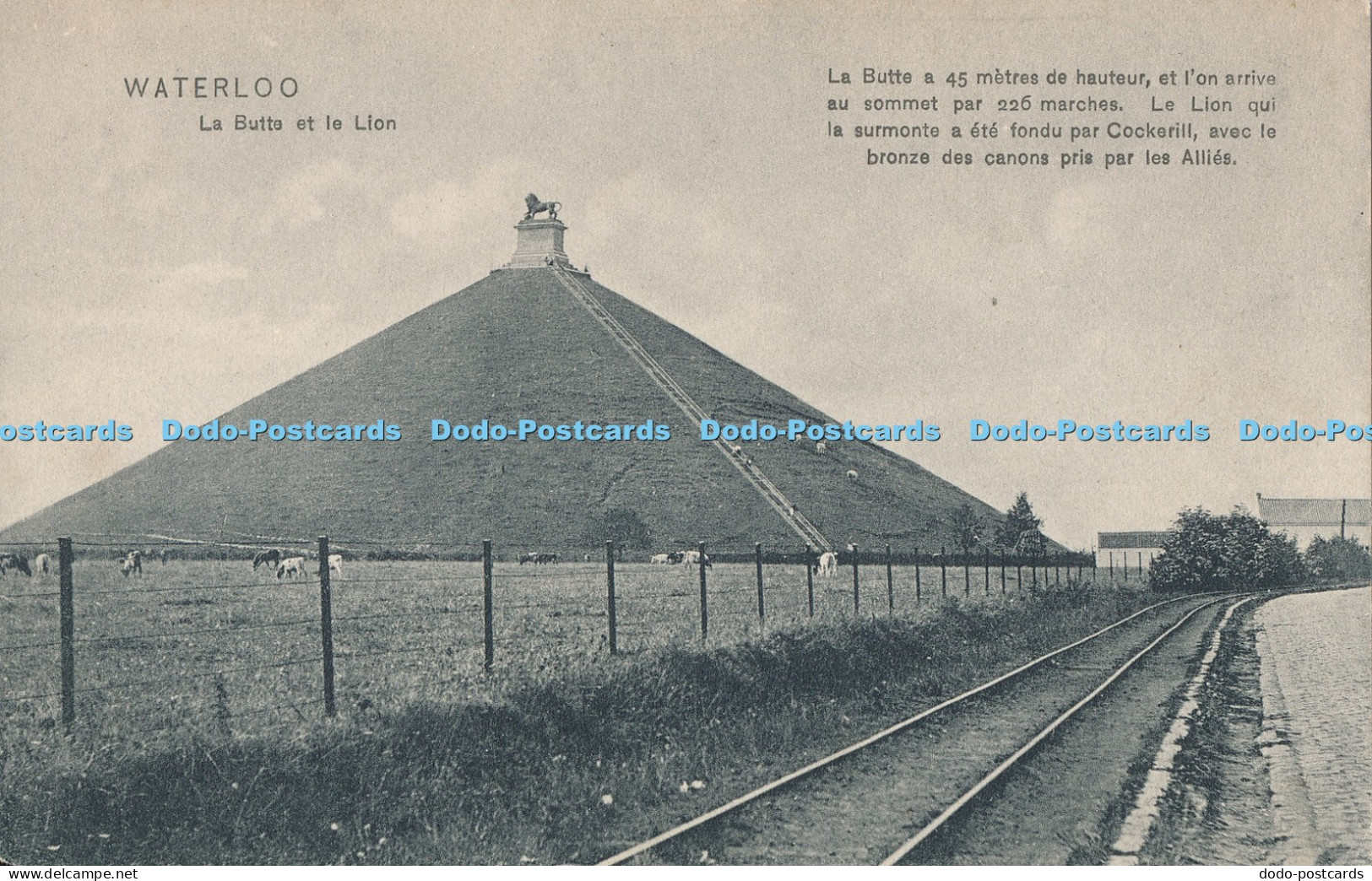 R034479 Waterloo La Butte et le Lion Trenkler