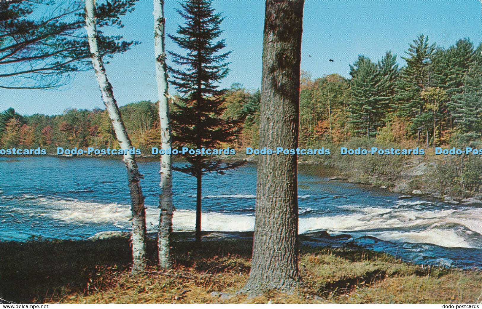 R035428 Greetings from Muskoka Ontario 1972