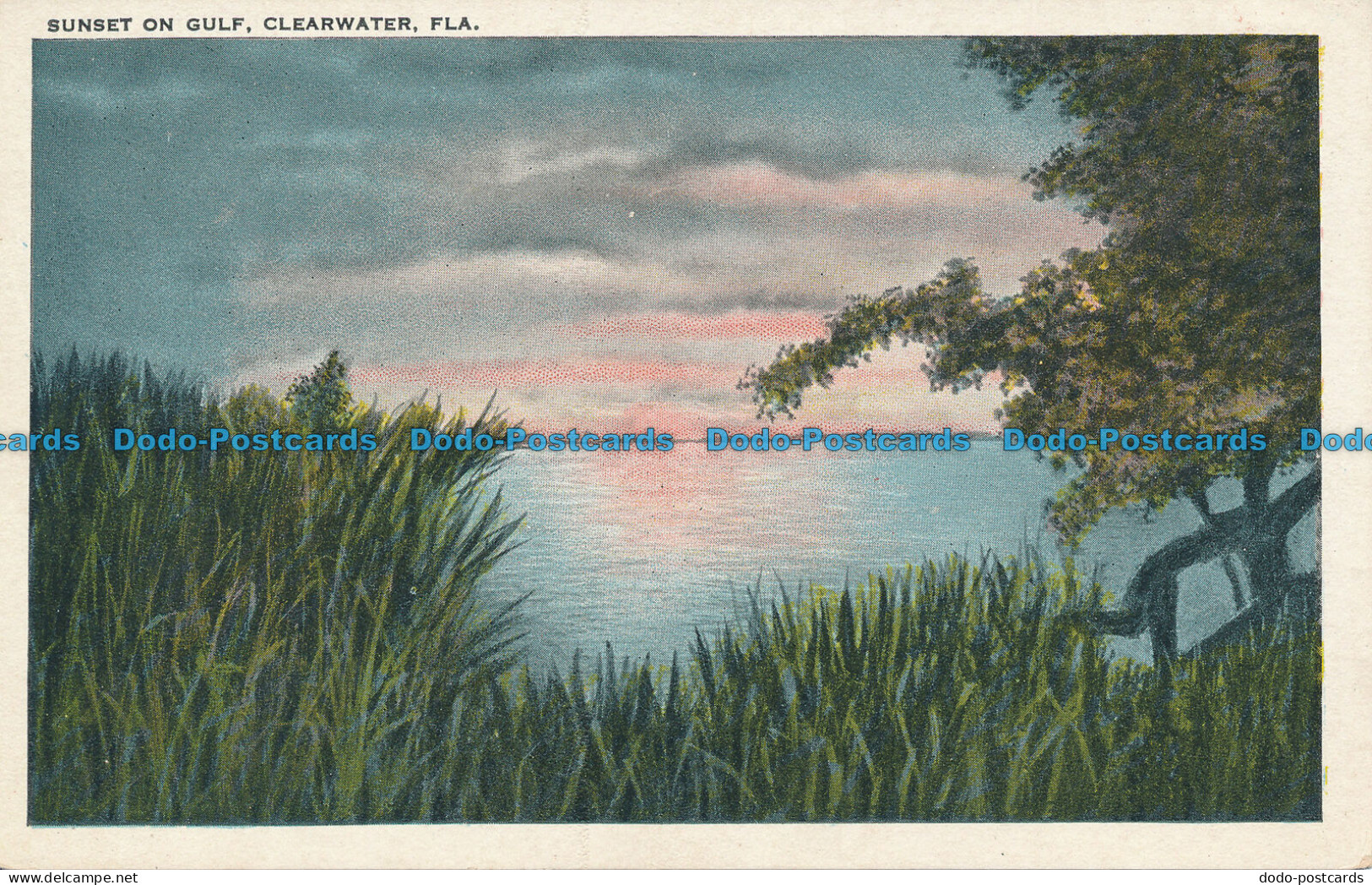 R036485 Sunset of Gulf. Clearwater. Fla. Tichnor