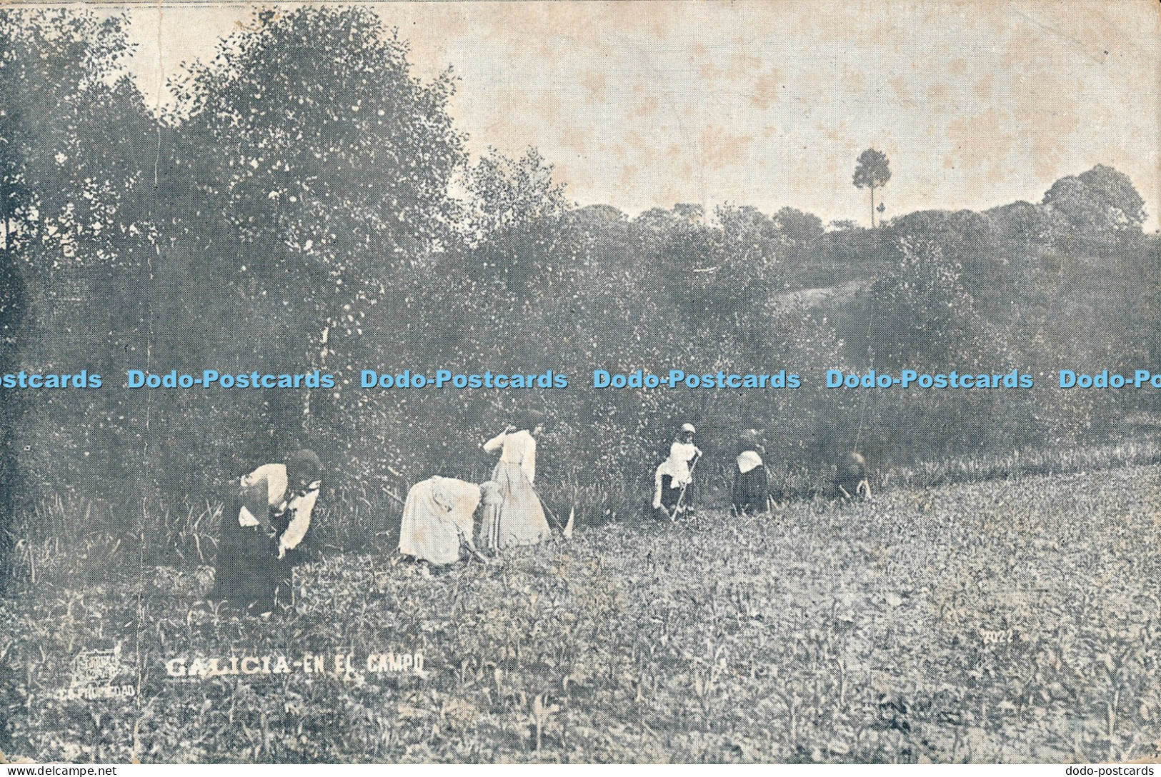 R038865 Galicia En El Campo B Hopkins