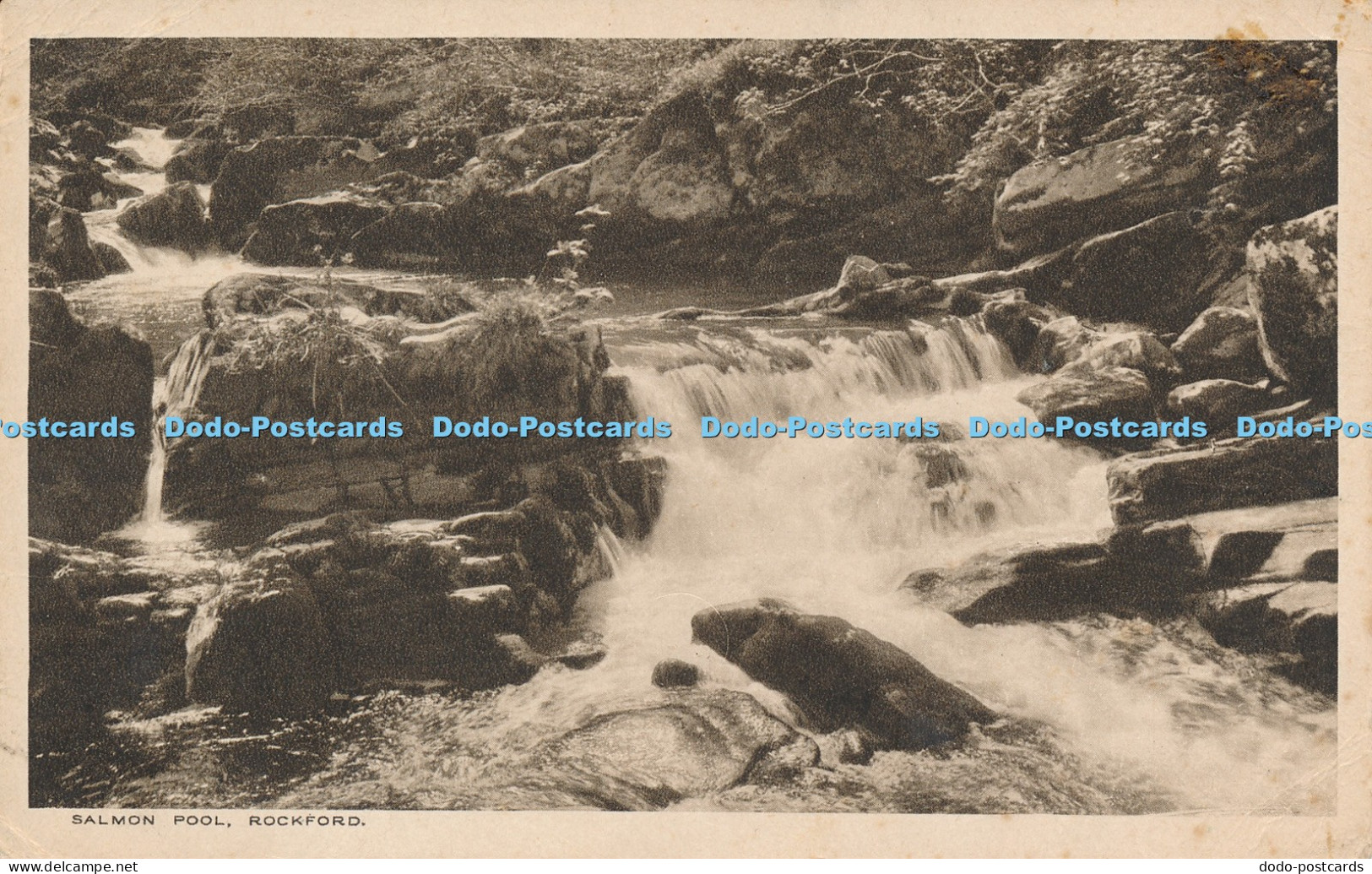 R039450 Salmon Pool Rockford F H Beesley RA