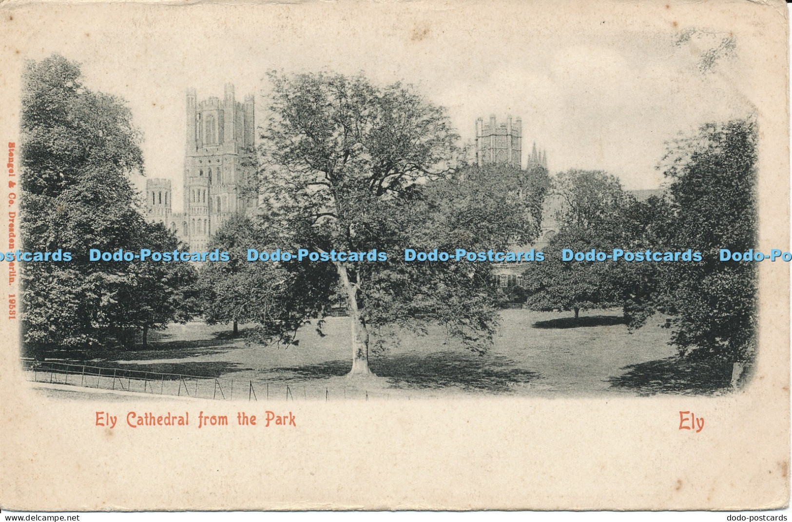 R041041 Ely Cathedral from the Park Ely Stengel and Co