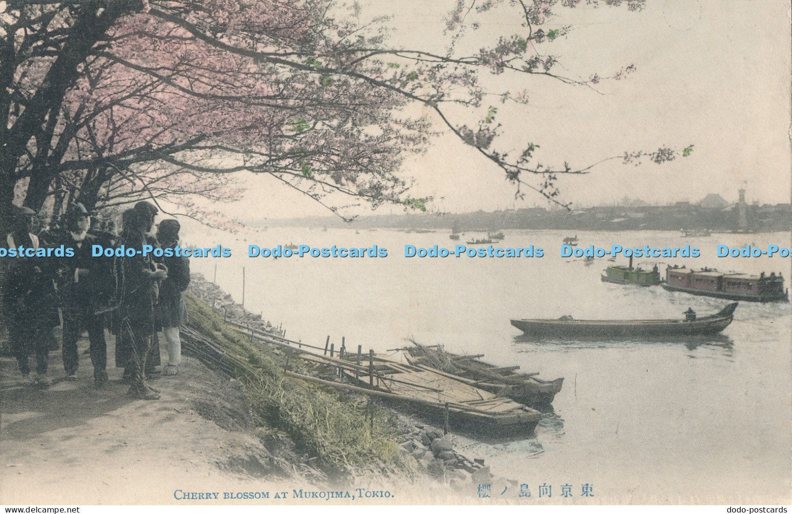 R043329 Cherry Blossom at Mukojima Tokio P T Andrews