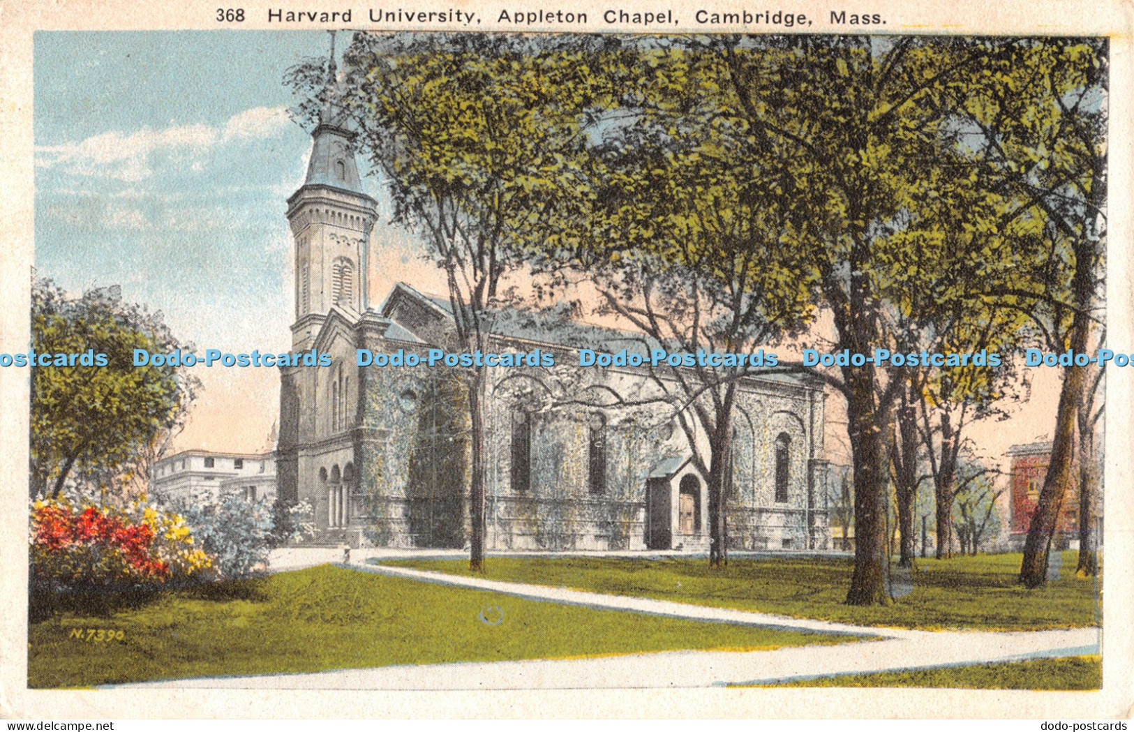 R044962 Harvard University Appleton Chapel Cambridge Mass
