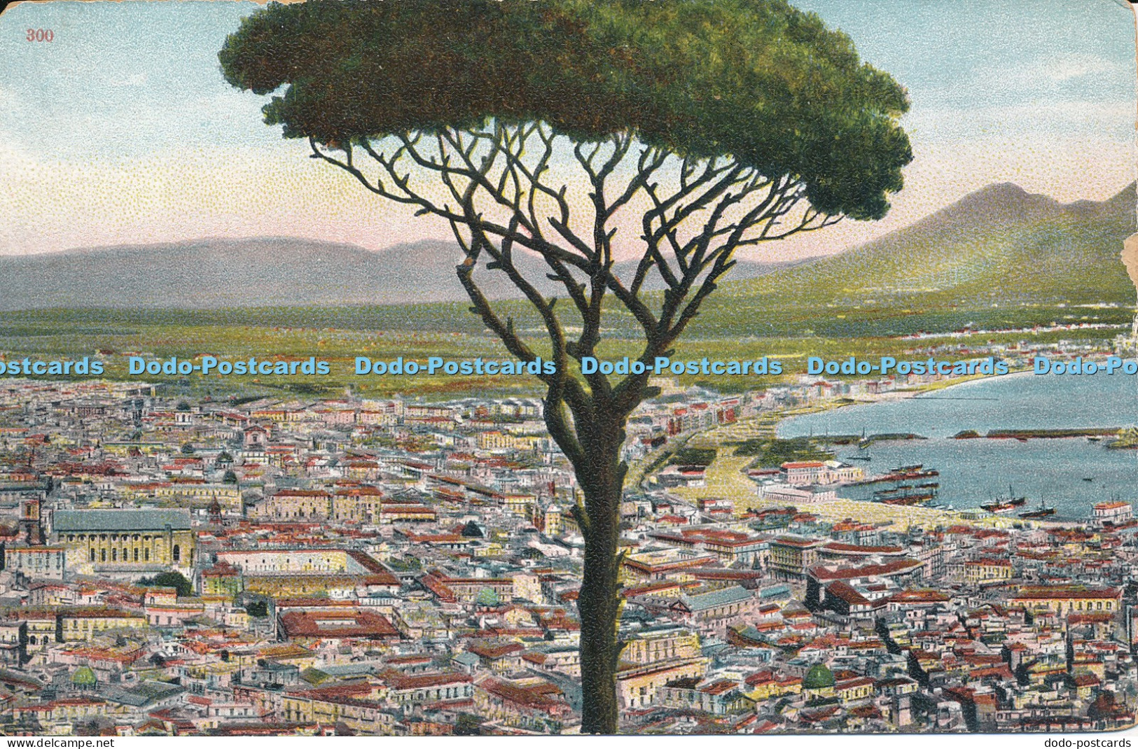 R045258 Naples