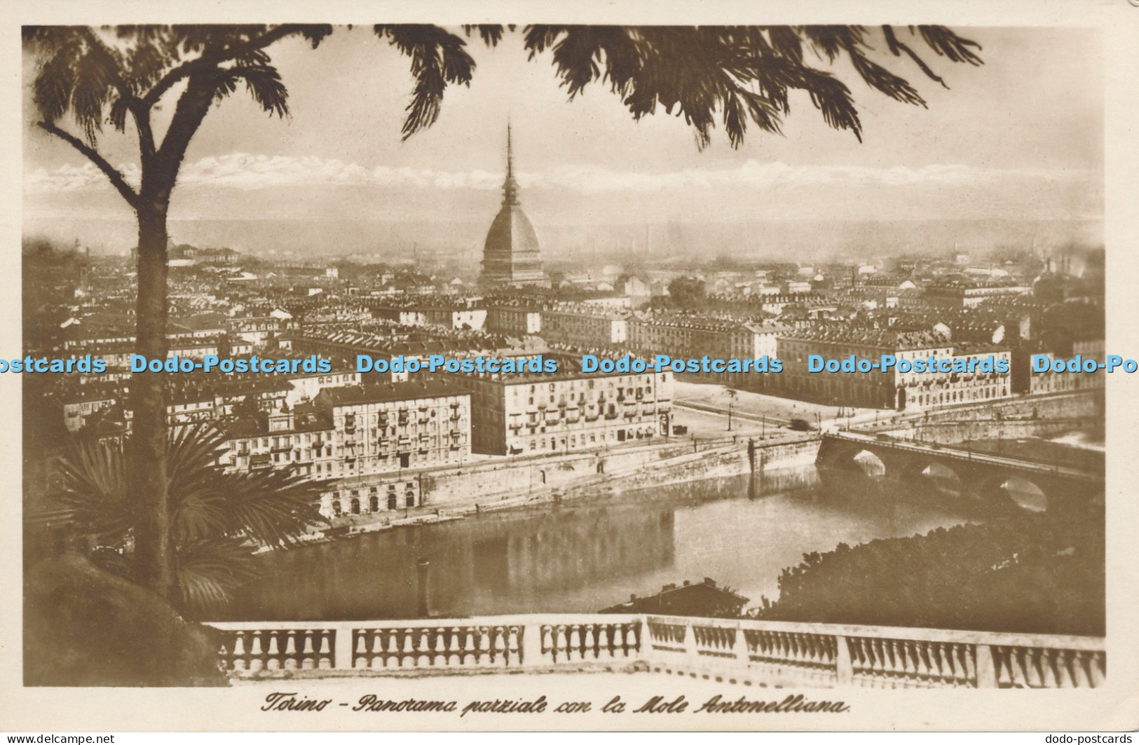 R046901 Torino Panorama Parziale con la Mole Antonelliana
