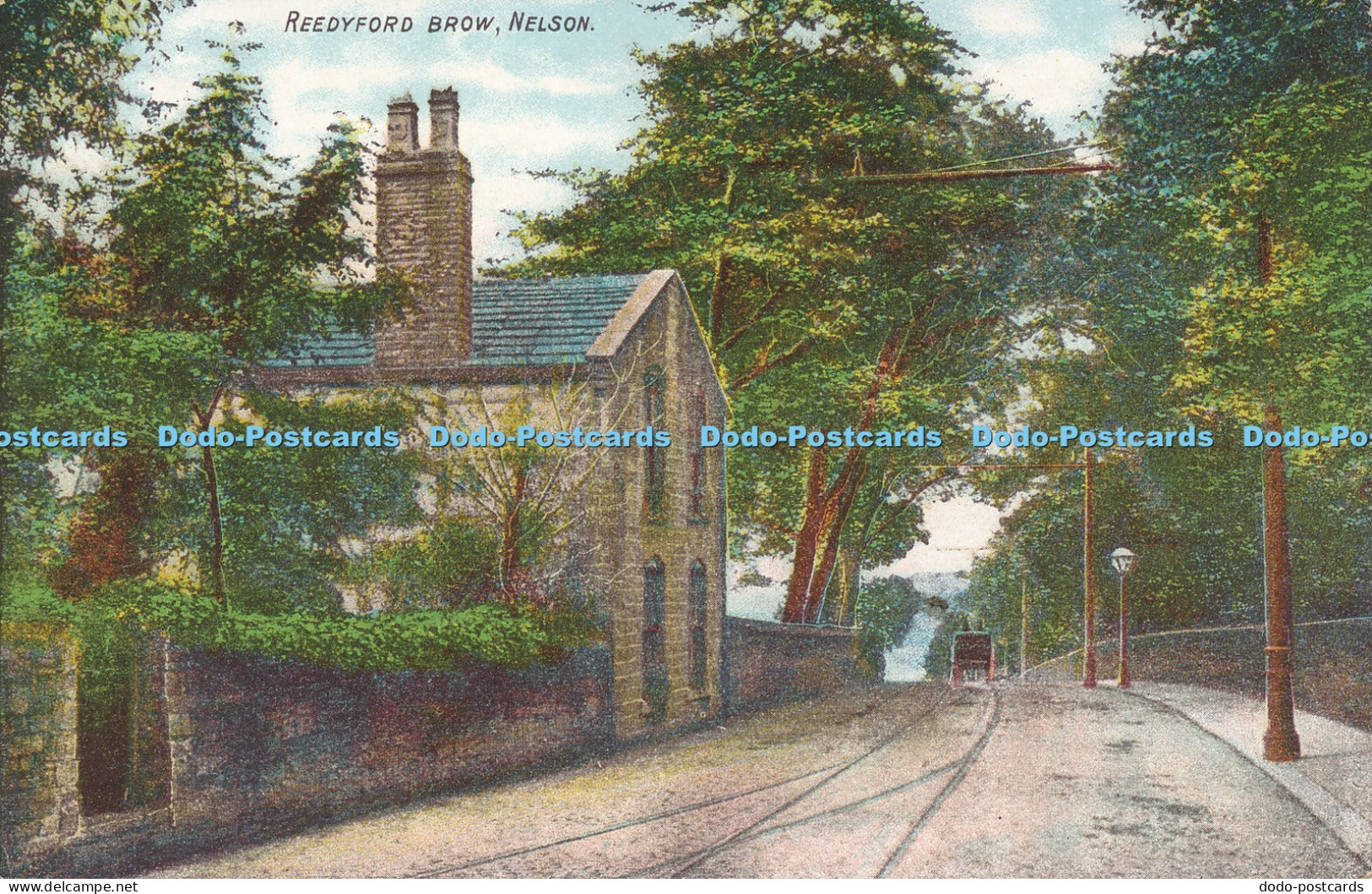 R049675 Reedyford Brow Nelson