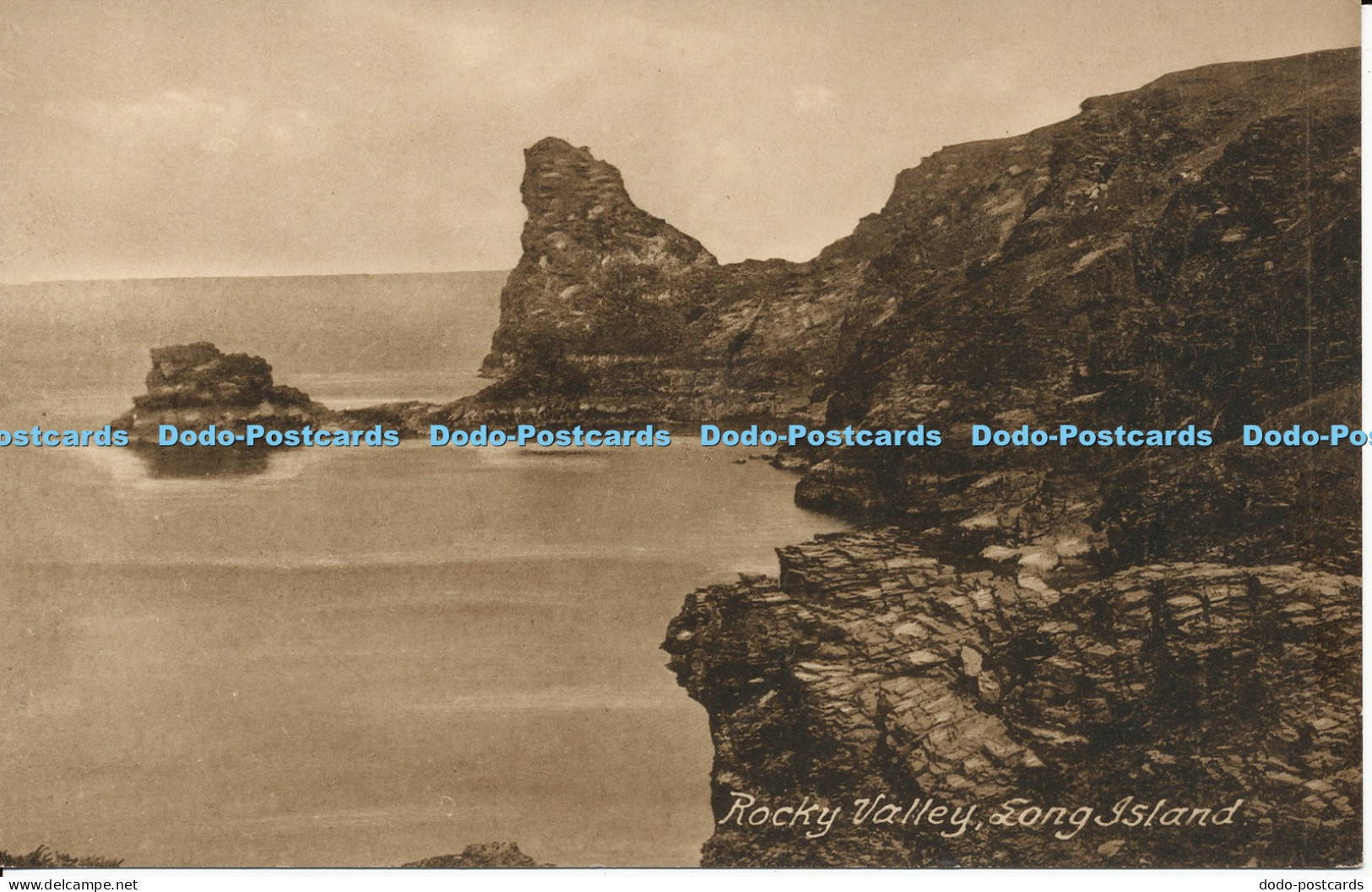 R050299 Rocky Valley Long Island Frith 36983