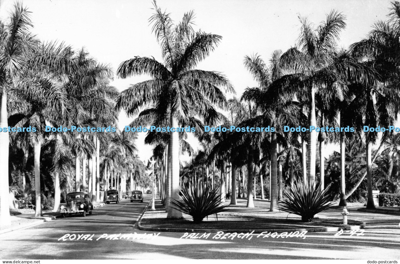 R051318 Royal Palm Way Palm Beach Florida L Cook