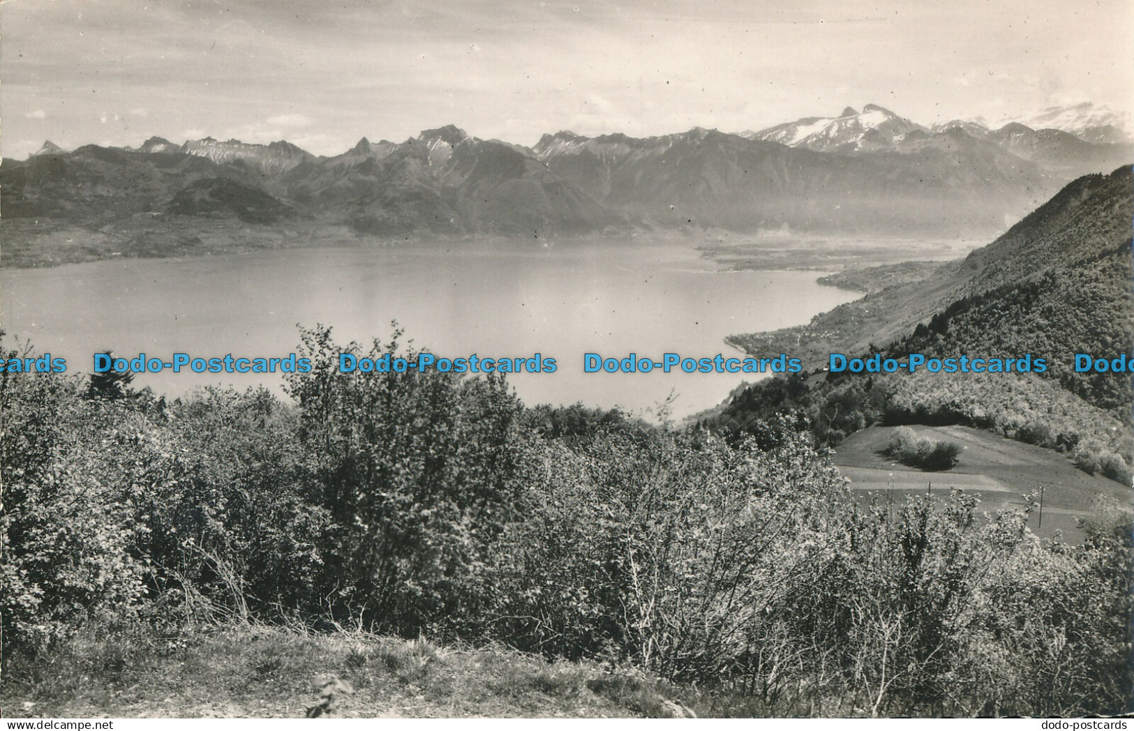 R052987 Thollon. Vue Sur le Lac Leman a Droite la Baie de Saint Oingolph au Fond