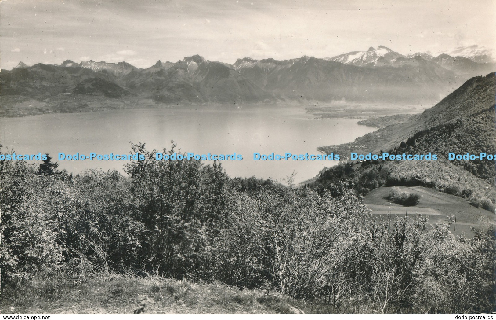 R052987 Thollon Vue Sur le Lac Leman a Droite la Baie de Saint Oingolph au Fond